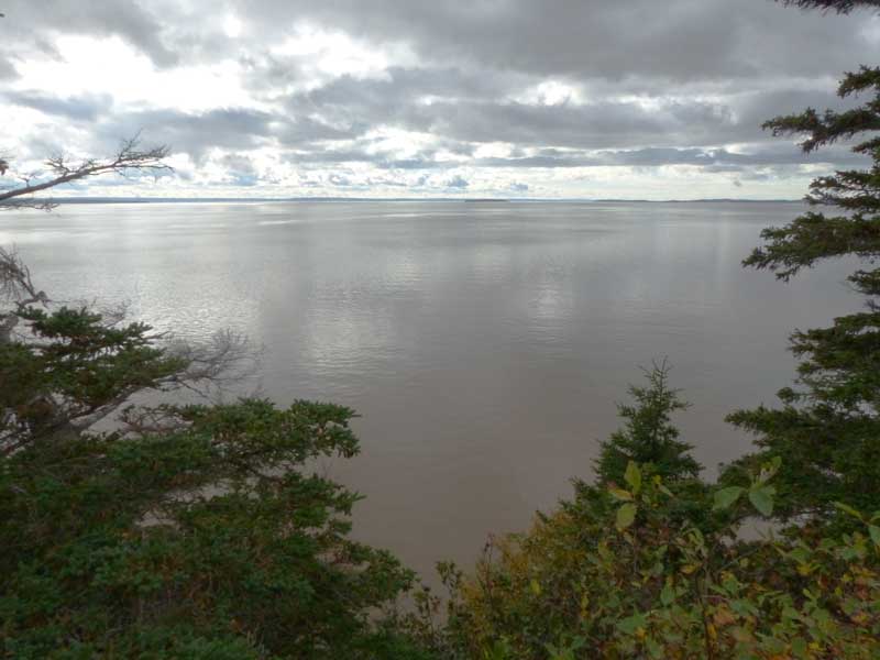 Hopewell Cape : la Baie de Fundy à l'horizon