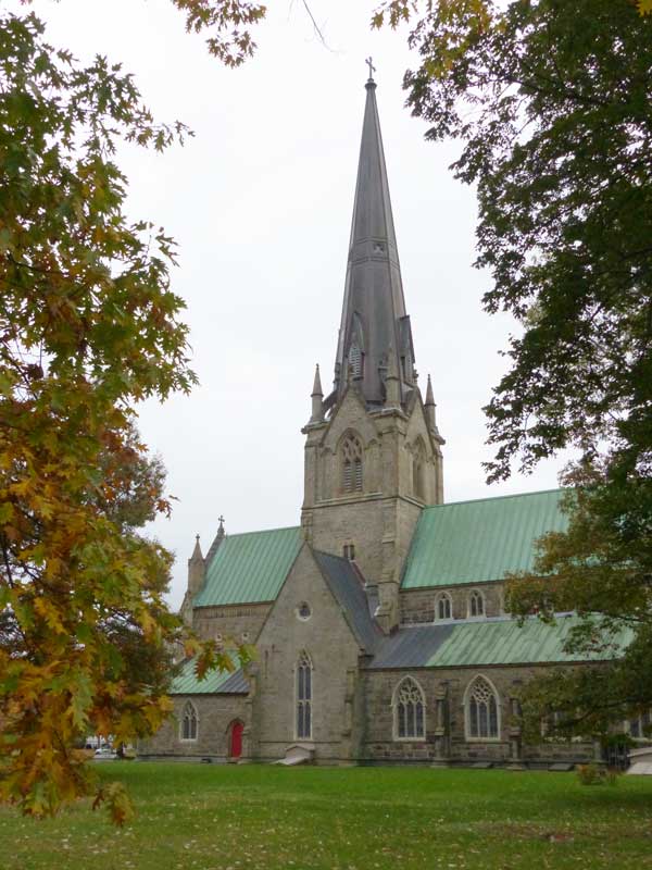 Fredericton : cathédrale Christ Church sous les
                    arbres au milieu de son green