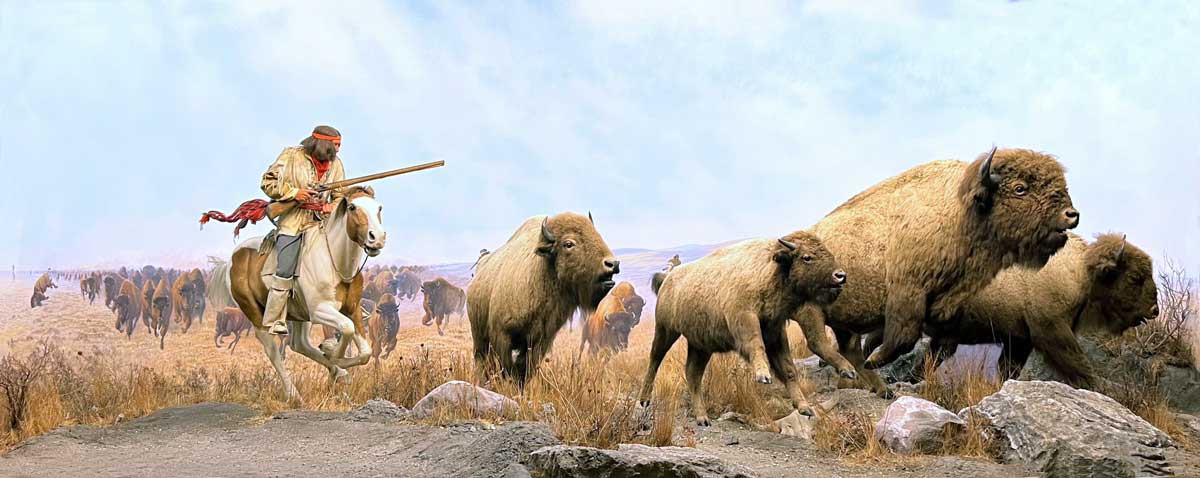 Manitoba-Museum-chasse-indienne-au-bison