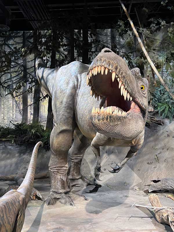 Tyrannosaure-Rex