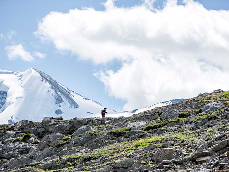 entier-Wilcox-Pass-Mathiieu-en-route-vers-le-sommet.