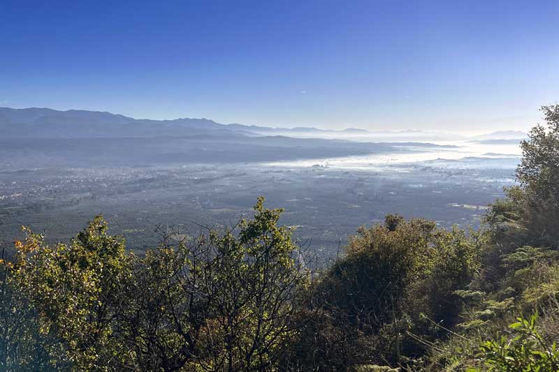 Mistra la plaine de Sparte en montant vers la citadelle