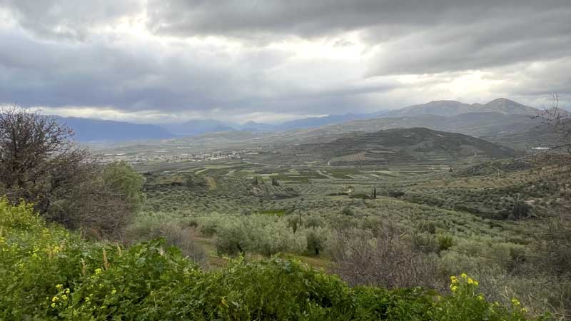 Au crépuscule, la campagne de Mycènes en arriere du
            parking