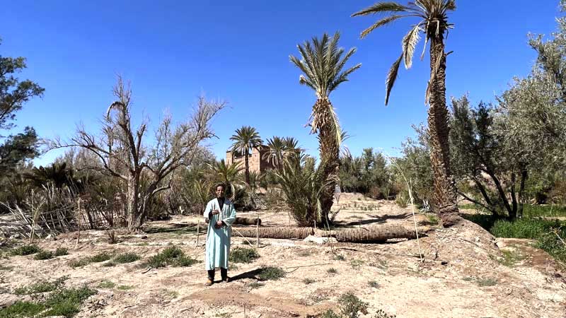Mohamed-El-Baddioui dans son oasis dégradée par la
              sécheresse et l'exode de ses habitants