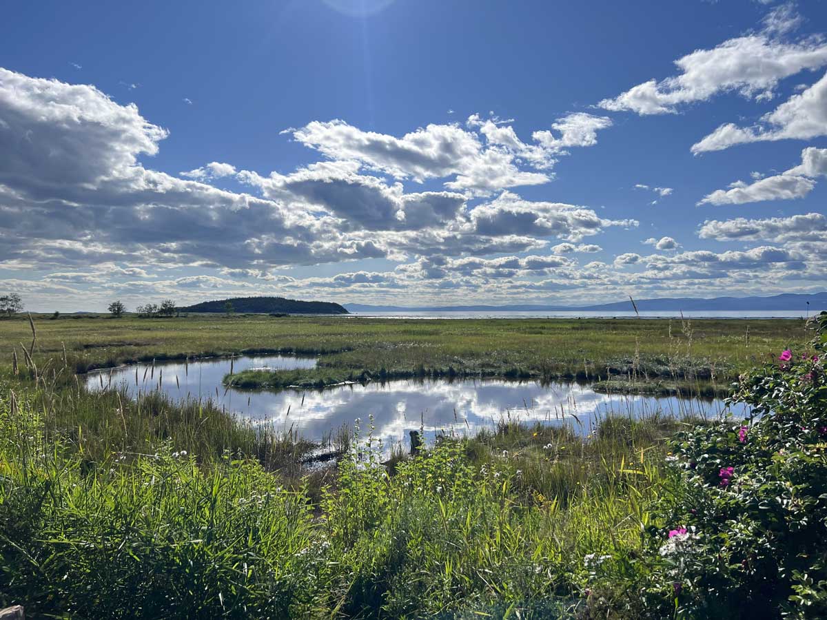 Le
            fleuve vers l'amont de St-André-de-Kamouraska