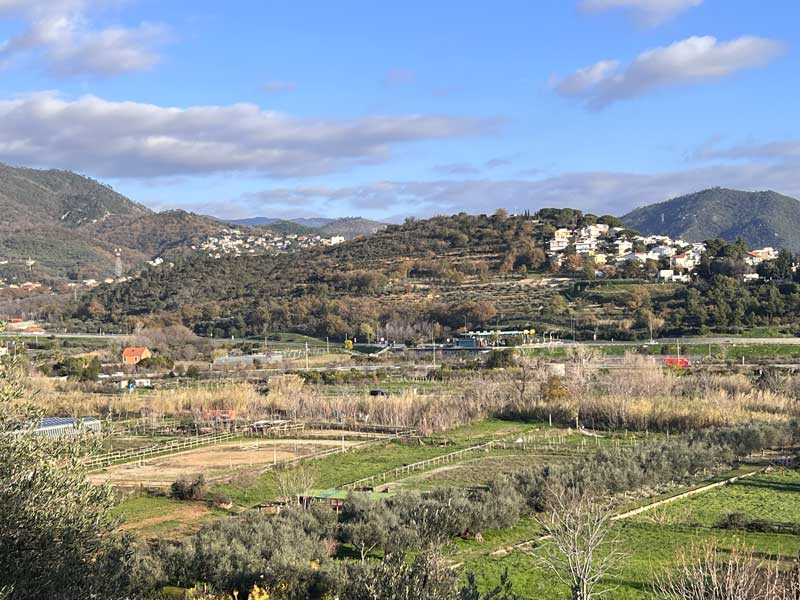 Loano,-entre-Imperia-et-Savone-(Ligurie)-village-perche