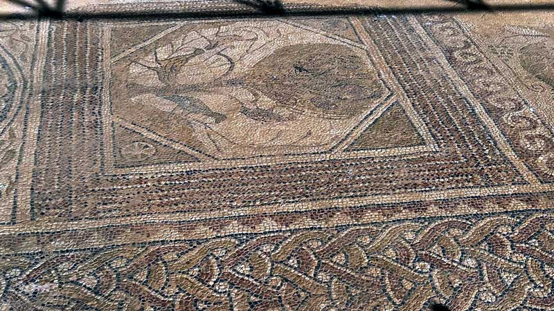 Philippi :
                  mosaiques de l'Octogone