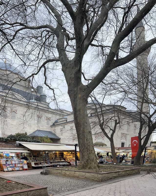 Istanbul-pres-du-Bazar-des-Libraires