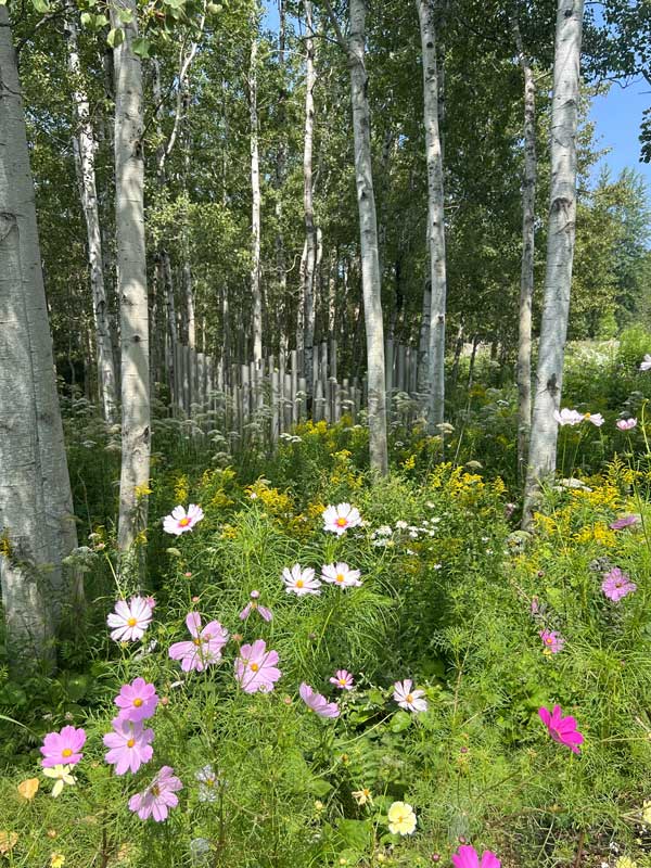 Metis-Jardin-Elsie-Reford