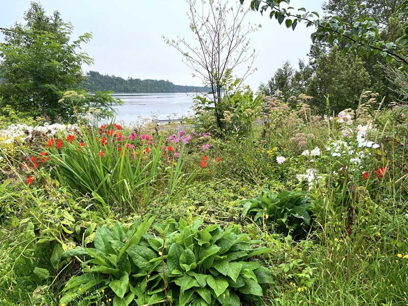 Gesgapegiag : le jardin mellifere au bord de la
              rivière