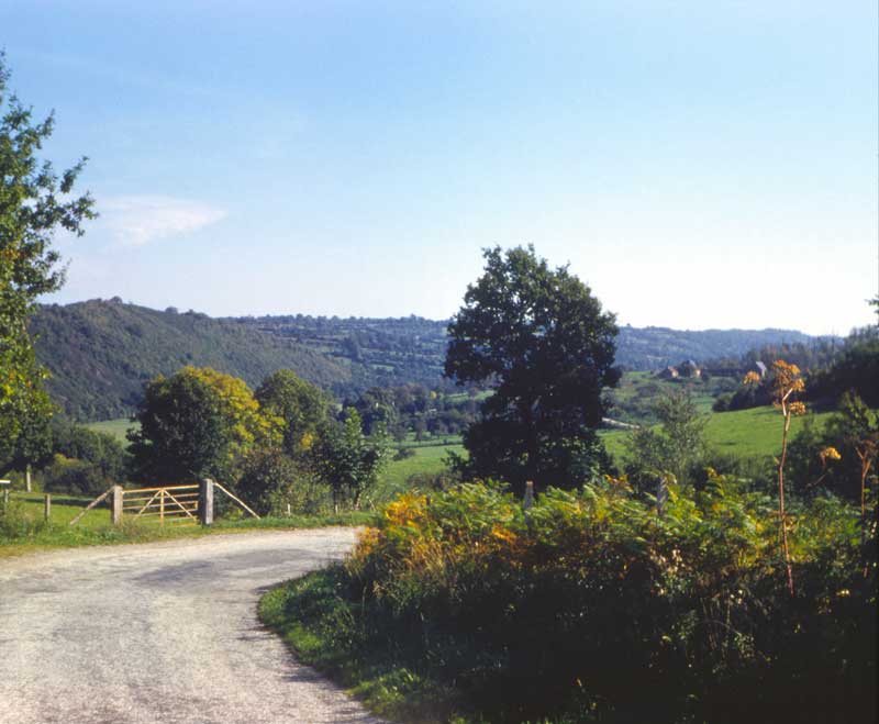 Route de la Forêt-Auvray